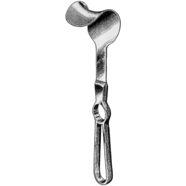 Article 08-602-00