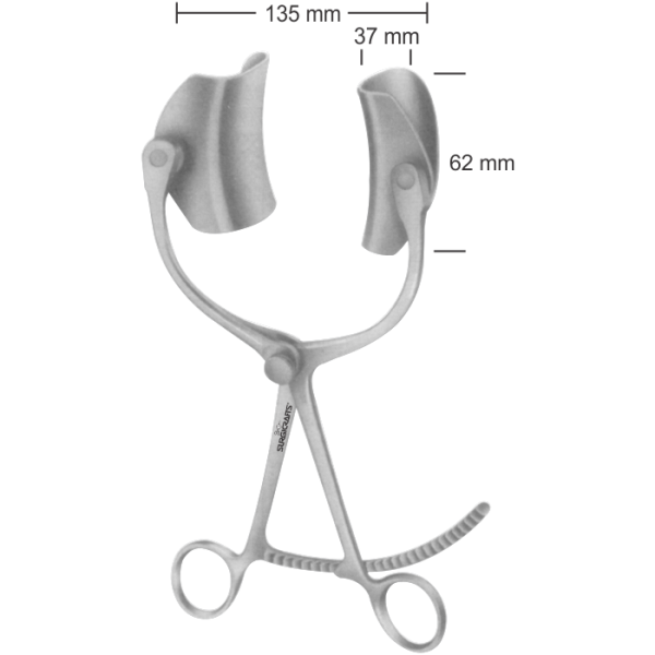 Article 08-954-00